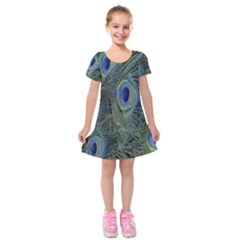 Peacock Feathers Blue Bird Nature Kids  Short Sleeve Velvet Dress by Amaryn4rt