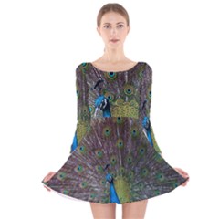 Peacock Feather Beat Rad Blue Long Sleeve Velvet Skater Dress by Amaryn4rt