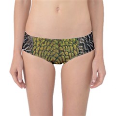 Peacock Bird Feather Gold Blue Brown Classic Bikini Bottoms