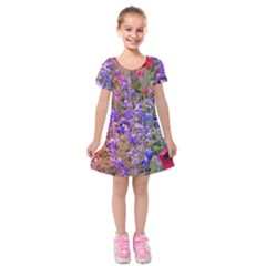 Spring Garden Kids  Short Sleeve Velvet Dress by CreatedByMeVictoriaB