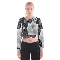 White Rose Women s Cropped Sweatshirt by CreatedByMeVictoriaB