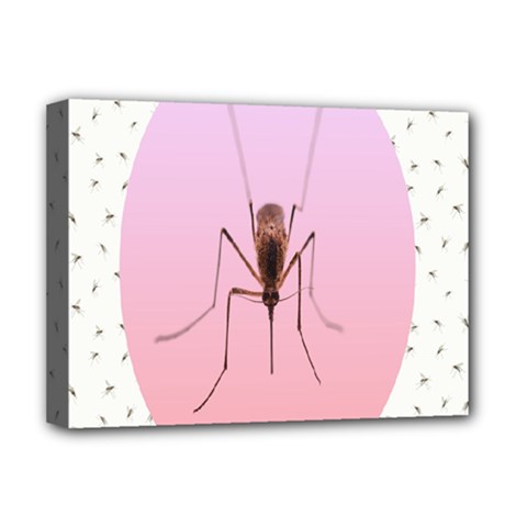 Mosquito Pink Insect Blood Deluxe Canvas 16  X 12  