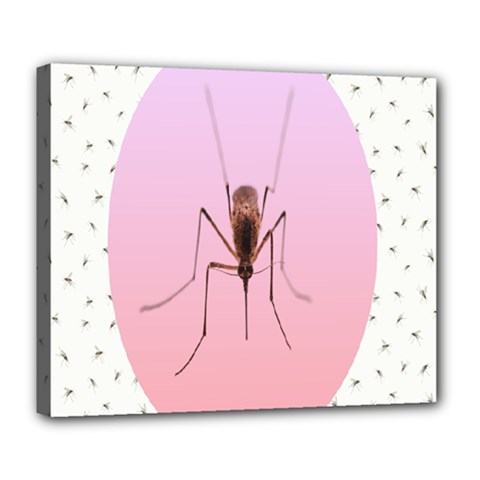 Mosquito Pink Insect Blood Deluxe Canvas 24  X 20  