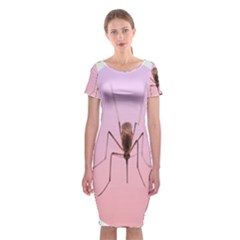 Mosquito Pink Insect Blood Classic Short Sleeve Midi Dress