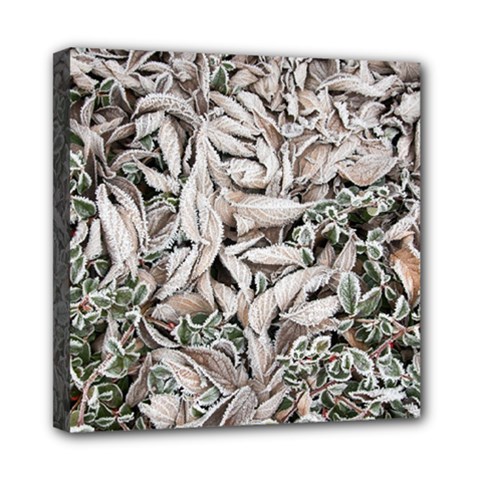 Ice Leaves Frozen Nature Mini Canvas 8  X 8  by Amaryn4rt