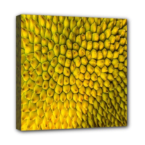 Jack Shell Jack Fruit Close Mini Canvas 8  X 8  by Amaryn4rt