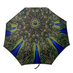 Bird Peacock Display Full Elegant Plumage Folding Umbrellas by Amaryn4rt