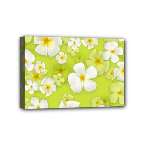 Frangipani Flower Floral White Green Mini Canvas 6  X 4 