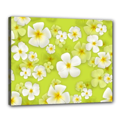 Frangipani Flower Floral White Green Canvas 20  X 16 