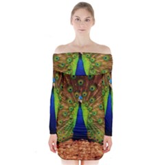 3d Peacock Bird Long Sleeve Off Shoulder Dress