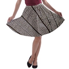 Sea Fan Coral Intricate Patterns A-line Skater Skirt by Amaryn4rt