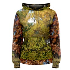 Autumn Trees In Vermont (with Kitty) Women s Pullover Hoodie by SusanFranzblau