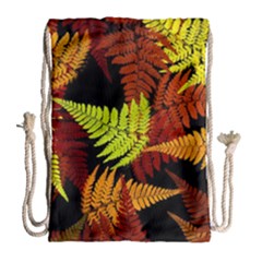 3d Red Abstract Fern Leaf Pattern Drawstring Bag (large) by Amaryn4rt