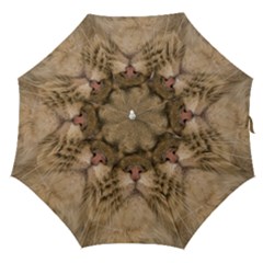 Cute Persian Cat Face In Closeup Straight Umbrellas by Amaryn4rt