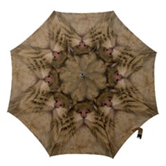 Cute Persian Cat Face In Closeup Hook Handle Umbrellas (medium) by Amaryn4rt