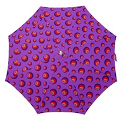 Scatter Shapes Large Circle Red Orange Yellow Circles Bright Straight Umbrellas