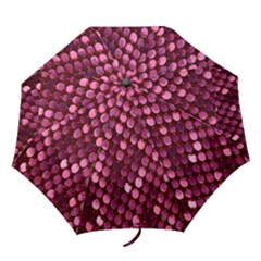 Red Circular Pattern Background Folding Umbrellas by Simbadda
