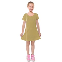 Brown Paper Packages Kids  Short Sleeve Velvet Dress