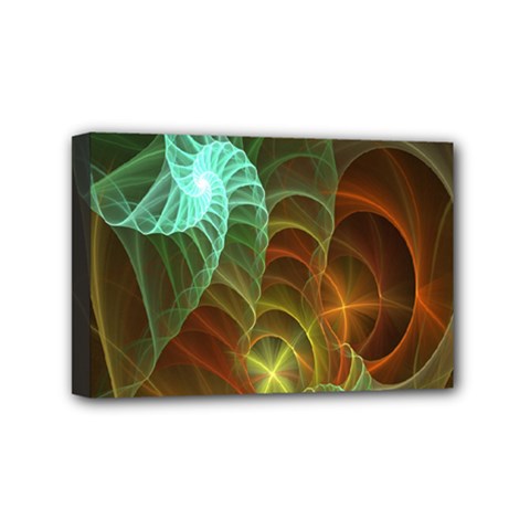 Art Shell Spirals Texture Mini Canvas 6  x 4 