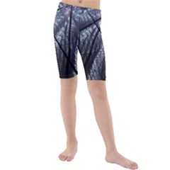 Fractal Art Picture Definition  Fractured Fractal Texture Kids  Mid Length Swim Shorts by Simbadda