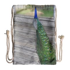 Peacock Drawstring Bag (large)