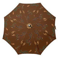 Brown Forms Straight Umbrellas