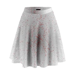 Physical Chemistry Circle Red Grey High Waist Skirt