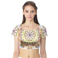 Intricate Flower Star Short Sleeve Crop Top (tight Fit) by Alisyart