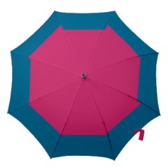 Flag Color Pink Blue Hook Handle Umbrellas (medium) by Alisyart