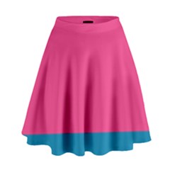 Flag Color Pink Blue High Waist Skirt