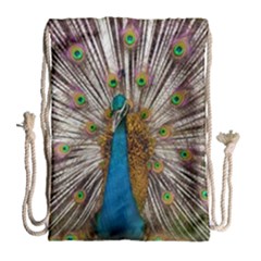 Indian Peacock Plumage Drawstring Bag (large) by Simbadda