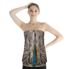 Indian Peacock Plumage Strapless Top by Simbadda