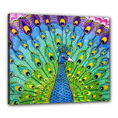 Peacock Bird Animation Canvas 24  X 20  by Simbadda