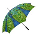 Peacock Bird Animation Straight Umbrellas View2