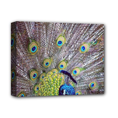 Peacock Bird Feathers Deluxe Canvas 14  X 11  by Simbadda