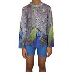 Peacock Bird Feathers Kids  Long Sleeve Swimwear by Simbadda