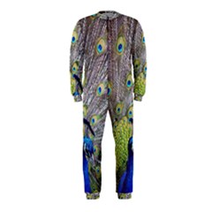 Peacock Bird Feathers Onepiece Jumpsuit (kids) by Simbadda