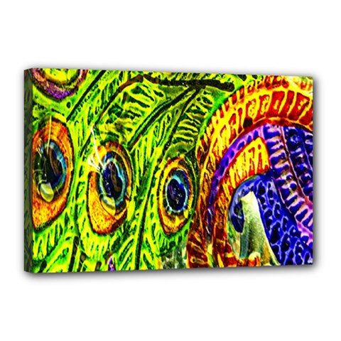 Peacock Feathers Canvas 18  X 12  by Simbadda