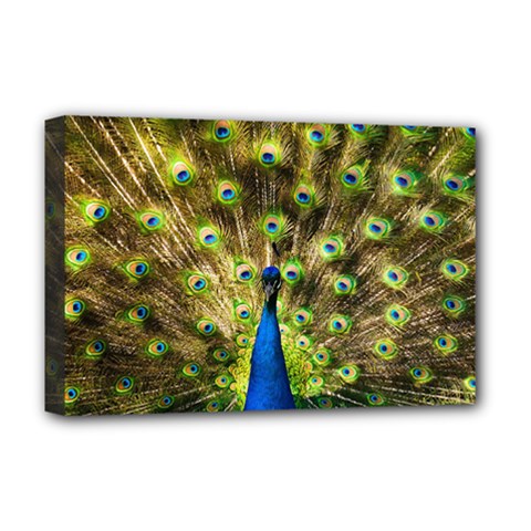 Peacock Bird Deluxe Canvas 18  X 12   by Simbadda