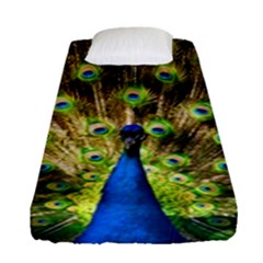 Peacock Bird Fitted Sheet (single Size) by Simbadda