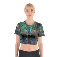 Peacock Jewelery Cotton Crop Top by Simbadda