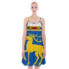 Coat Of Arms Of Aland Spaghetti Strap Velvet Dress by abbeyz71