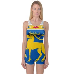 Coat Of Arms Of Aland One Piece Boyleg Swimsuit by abbeyz71