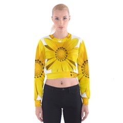 Transparent Flower Summer Yellow Women s Cropped Sweatshirt by Simbadda