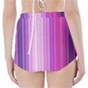 Pink Vertical Color Rainbow Purple Red Pink Line High-Waisted Bikini Bottoms View2