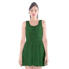 Texture Green Rush Easter Scoop Neck Skater Dress by Simbadda