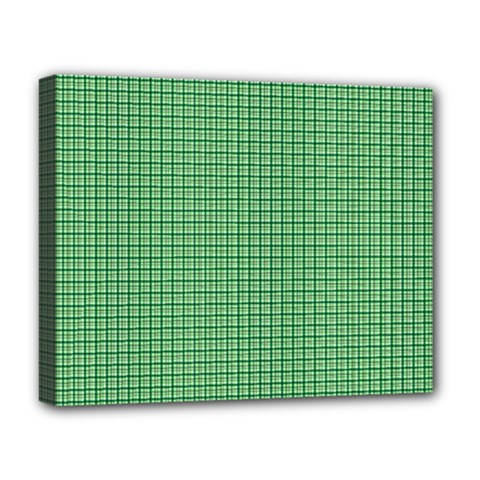 Green1 Deluxe Canvas 20  X 16   by PhotoNOLA