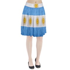 Argentina Texture Background Pleated Skirt