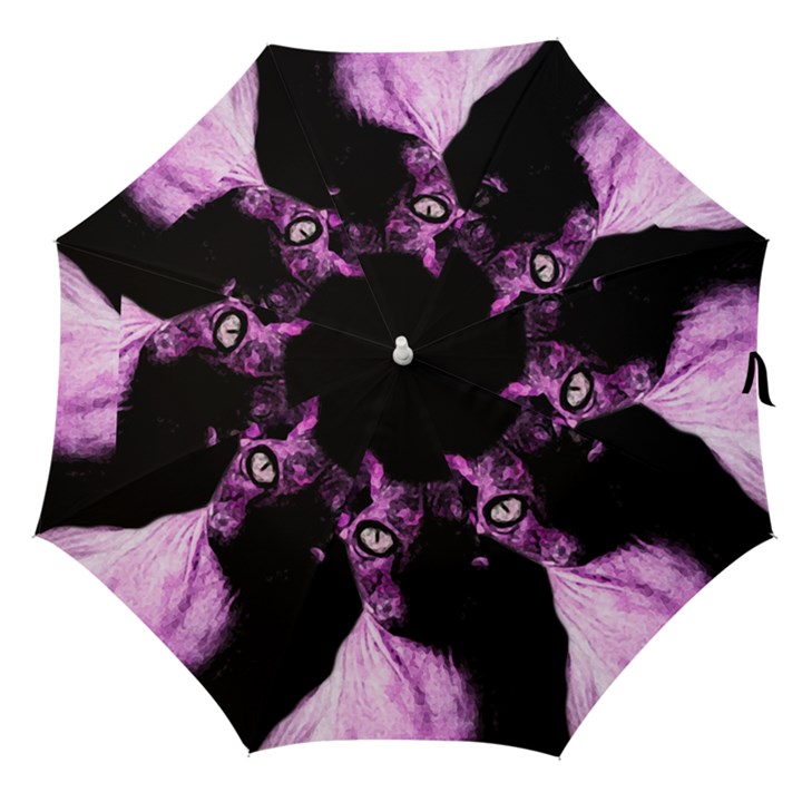 Pink Sphynx cat Straight Umbrellas