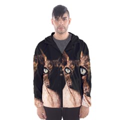 Sphynx Cat Hooded Wind Breaker (men) by Valentinaart